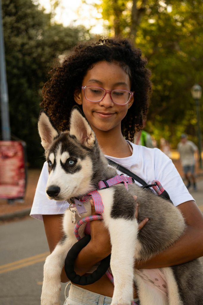 A young girl smiling while holding a Siberian Husky puppy on a sunny day.